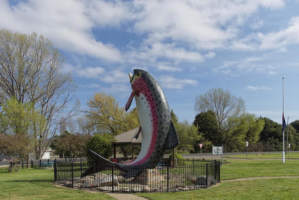 Rainbow Pines Tourist Caravan Park Adaminaby Exterior photo