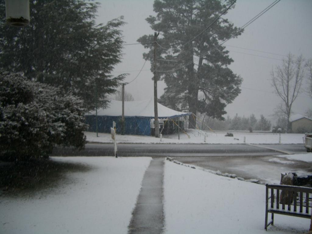 Rainbow Pines Tourist Caravan Park Adaminaby Exterior photo